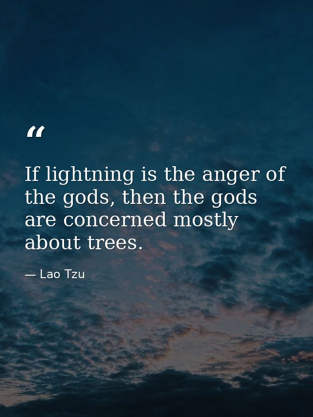 If lightning is the anger of the gods, then the gods are concerned mostly about trees. — Lao Tzu
