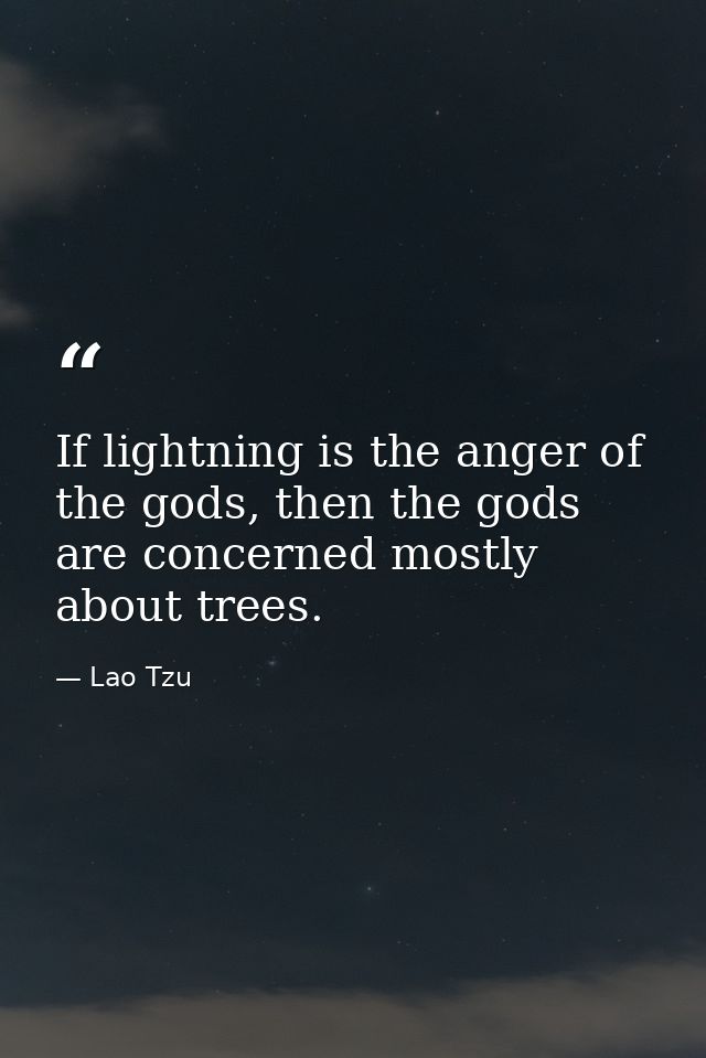 If lightning is the anger of the gods, then the gods are concerned mostly about trees. — Lao Tzu