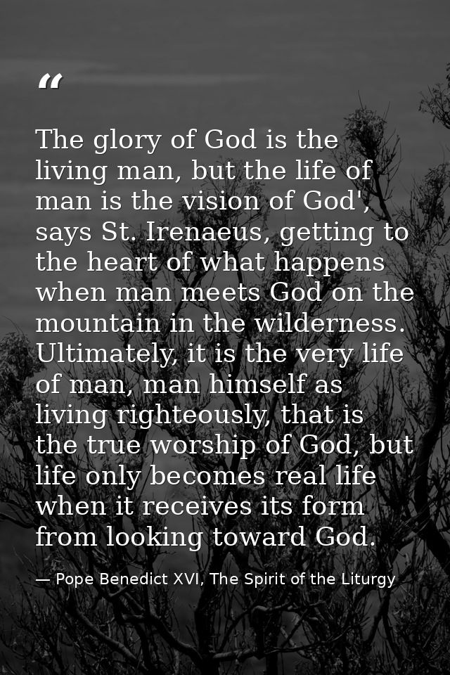The glory of God is the living man, but the life of man is the vision of God', says St. Irenaeus, getting to the heart o — Pope Benedict XVI, The Spirit of the Liturgy