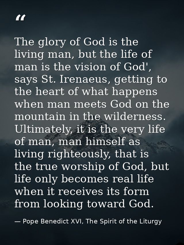 The glory of God is the living man, but the life of man is the vision of God', says St. Irenaeus, getting to the heart o — Pope Benedict XVI, The Spirit of the Liturgy