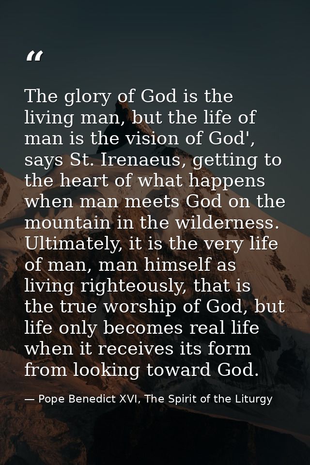 The glory of God is the living man, but the life of man is the vision of God', says St. Irenaeus, getting to the heart o — Pope Benedict XVI, The Spirit of the Liturgy