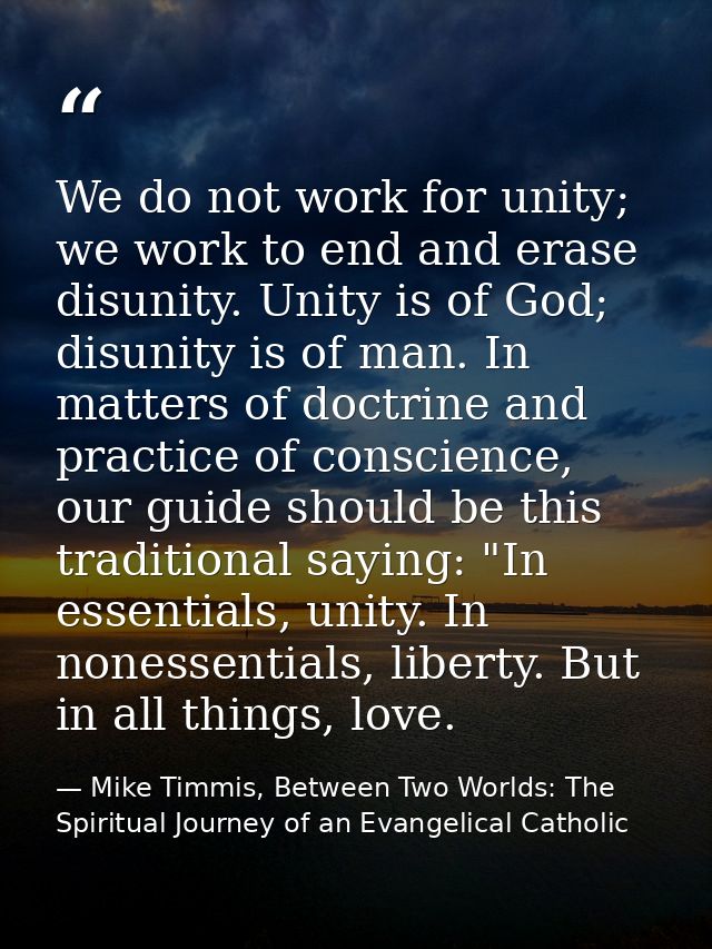 We do not work for unity; we work to end and erase disunity. Unity is of God; disunity is of man. In matters of doctrine — Mike Timmis, Between Two Worlds: The Spiritual Journey of an Evangelical Catholic