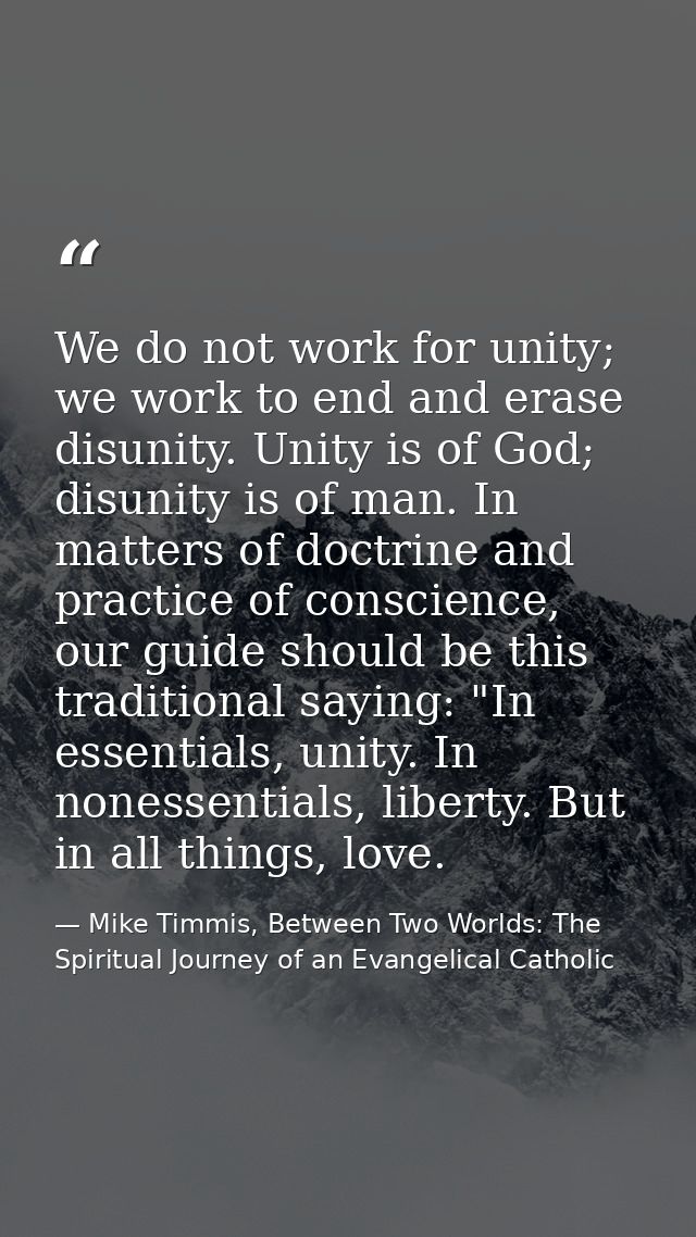 We do not work for unity; we work to end and erase disunity. Unity is of God; disunity is of man. In matters of doctrine — Mike Timmis, Between Two Worlds: The Spiritual Journey of an Evangelical Catholic