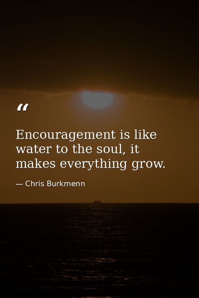 Encouragement is like water to the soul, it makes everything grow. — Chris Burkmenn