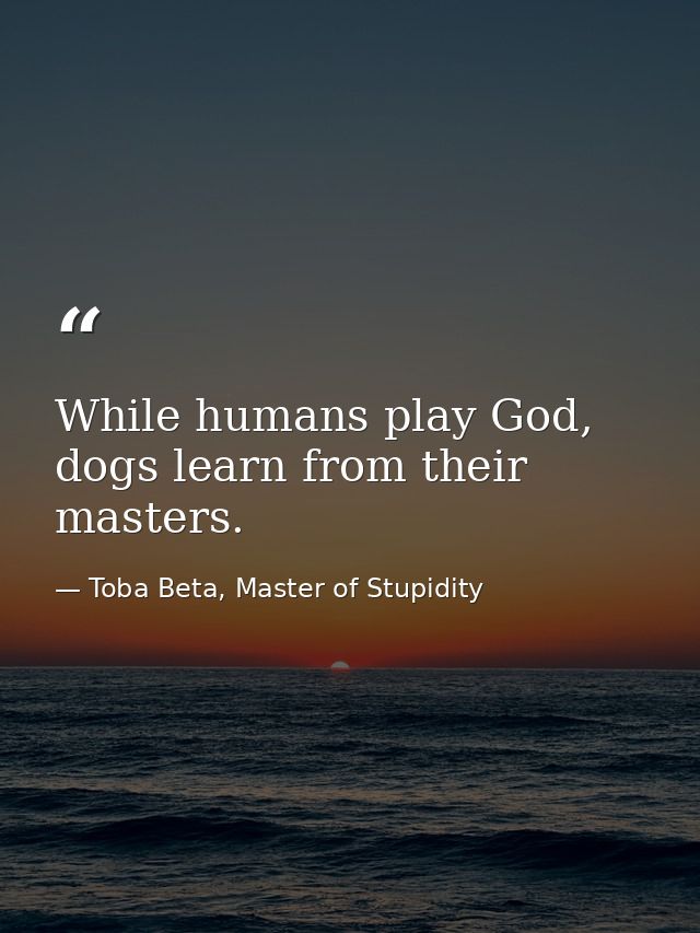 While humans play God, dogs learn from their masters. — Toba Beta, Master of Stupidity