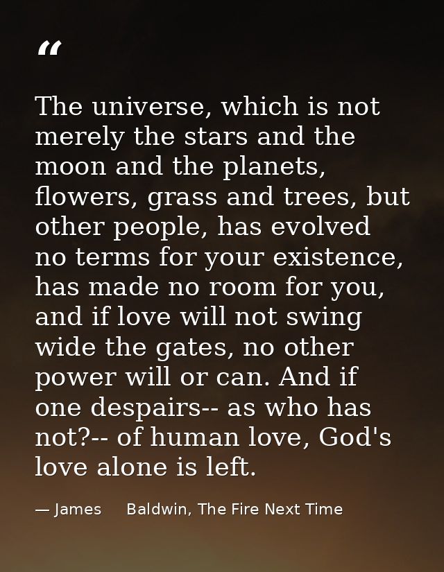 The universe, which is not merely the stars and the moon and the planets, flowers, grass and trees, but other people, ha — James     Baldwin, The Fire Next Time