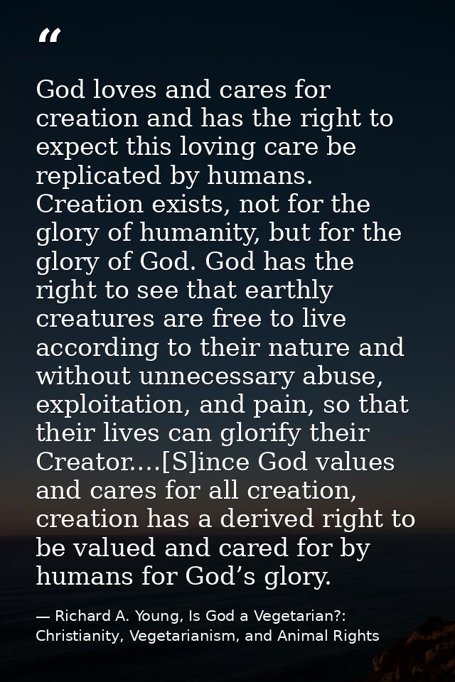 God loves and cares for creation and has the right to expect this loving care be replicated by humans. Creation exists,  — Richard A. Young, Is God a Vegetarian?: Christianity, Vegetarianism, and Animal Rights