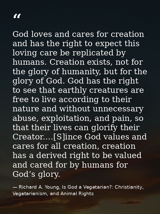 God loves and cares for creation and has the right to expect this loving care be replicated by humans. Creation exists,  — Richard A. Young, Is God a Vegetarian?: Christianity, Vegetarianism, and Animal Rights