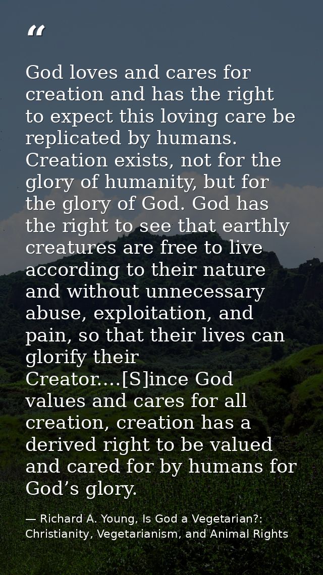 God loves and cares for creation and has the right to expect this loving care be replicated by humans. Creation exists,  — Richard A. Young, Is God a Vegetarian?: Christianity, Vegetarianism, and Animal Rights