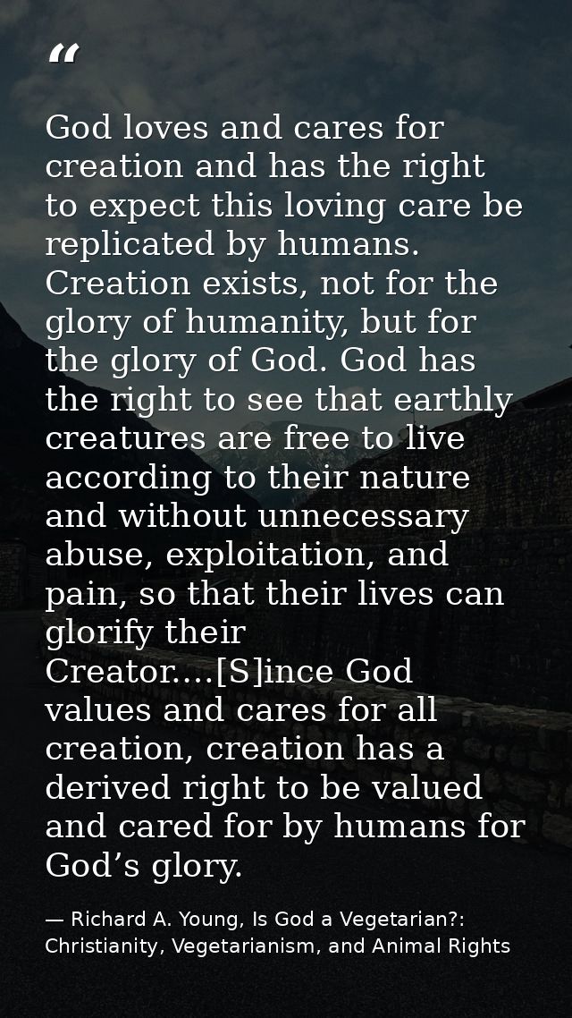 God loves and cares for creation and has the right to expect this loving care be replicated by humans. Creation exists,  — Richard A. Young, Is God a Vegetarian?: Christianity, Vegetarianism, and Animal Rights