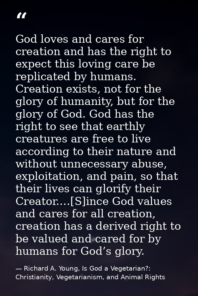 God loves and cares for creation and has the right to expect this loving care be replicated by humans. Creation exists,  — Richard A. Young, Is God a Vegetarian?: Christianity, Vegetarianism, and Animal Rights