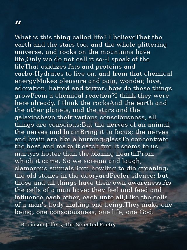 What is this thing called life? I believeThat the earth and the stars too, and the whole glittering universe, and rocks  — Robinson Jeffers, The Selected Poetry