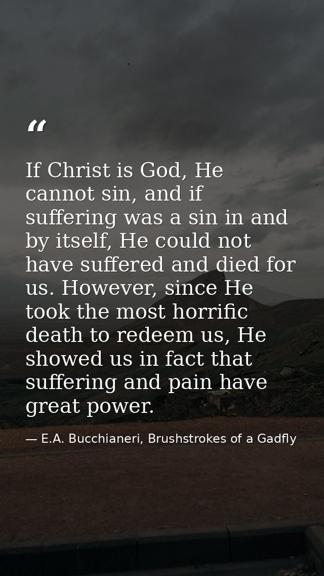 If Christ is God, He cannot sin, and if suffering was a sin in and by itself, He could not have suffered and died for us — E.A. Bucchianeri, Brushstrokes of a Gadfly