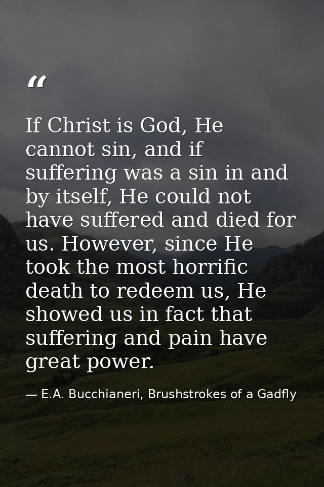 If Christ is God, He cannot sin, and if suffering was a sin in and by itself, He could not have suffered and died for us — E.A. Bucchianeri, Brushstrokes of a Gadfly