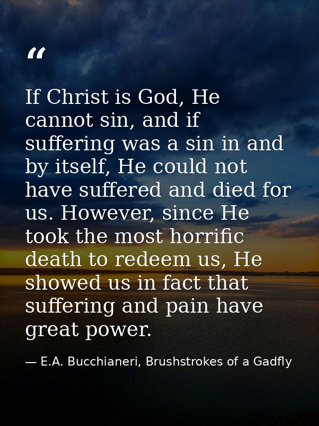 If Christ is God, He cannot sin, and if suffering was a sin in and by itself, He could not have suffered and died for us — E.A. Bucchianeri, Brushstrokes of a Gadfly