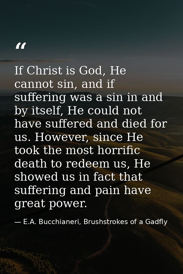 If Christ is God, He cannot sin, and if suffering was a sin in and by itself, He could not have suffered and died for us — E.A. Bucchianeri, Brushstrokes of a Gadfly