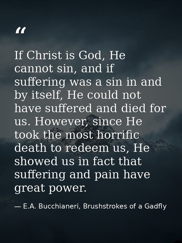 If Christ is God, He cannot sin, and if suffering was a sin in and by itself, He could not have suffered and died for us — E.A. Bucchianeri, Brushstrokes of a Gadfly