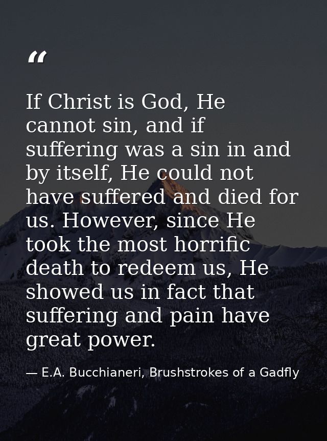 If Christ is God, He cannot sin, and if suffering was a sin in and by itself, He could not have suffered and died for us — E.A. Bucchianeri, Brushstrokes of a Gadfly