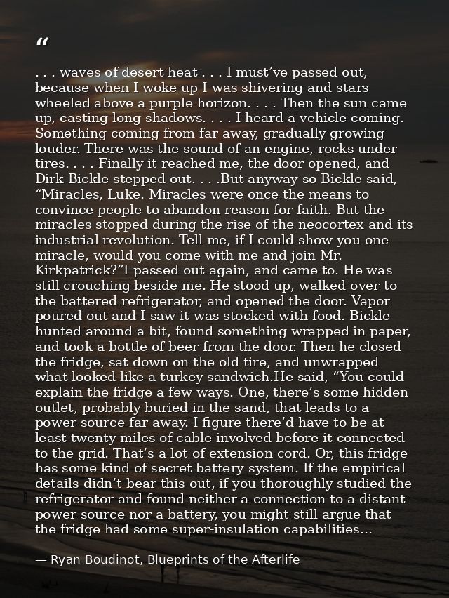 . . . waves of desert heat . . . I must’ve passed out, because when I woke up I was shivering and stars wheeled above a  — Ryan Boudinot, Blueprints of the Afterlife