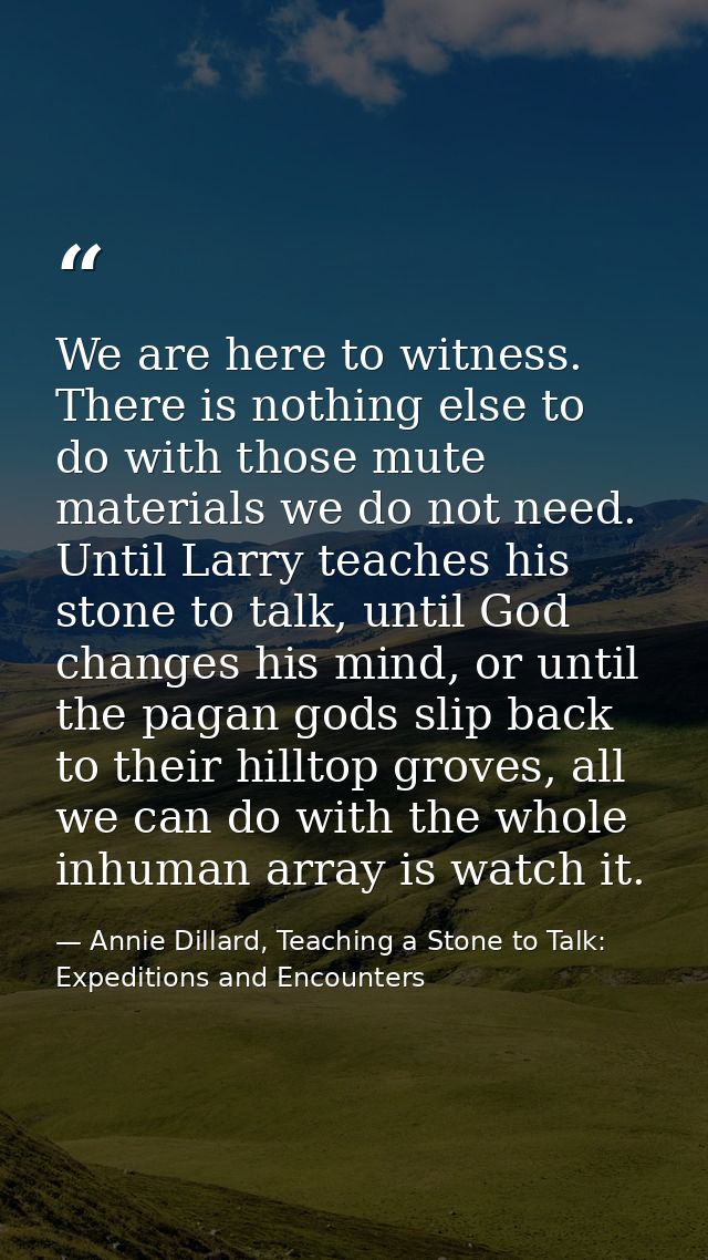 We are here to witness. There is nothing else to do with those mute materials we do not need. Until Larry teaches his st — Annie Dillard, Teaching a Stone to Talk: Expeditions and Encounters