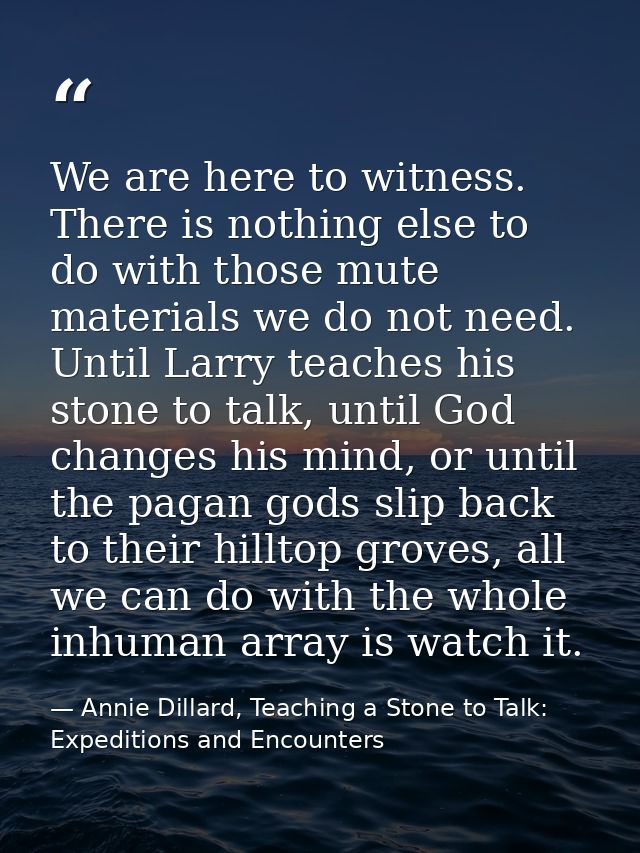 We are here to witness. There is nothing else to do with those mute materials we do not need. Until Larry teaches his st — Annie Dillard, Teaching a Stone to Talk: Expeditions and Encounters