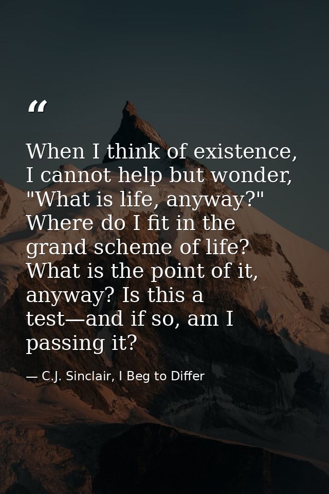 When I think of existence, I cannot help but wonder, "What is life, anyway?" Where do I fit in the grand scheme of life? — C.J. Sinclair, I Beg to Differ