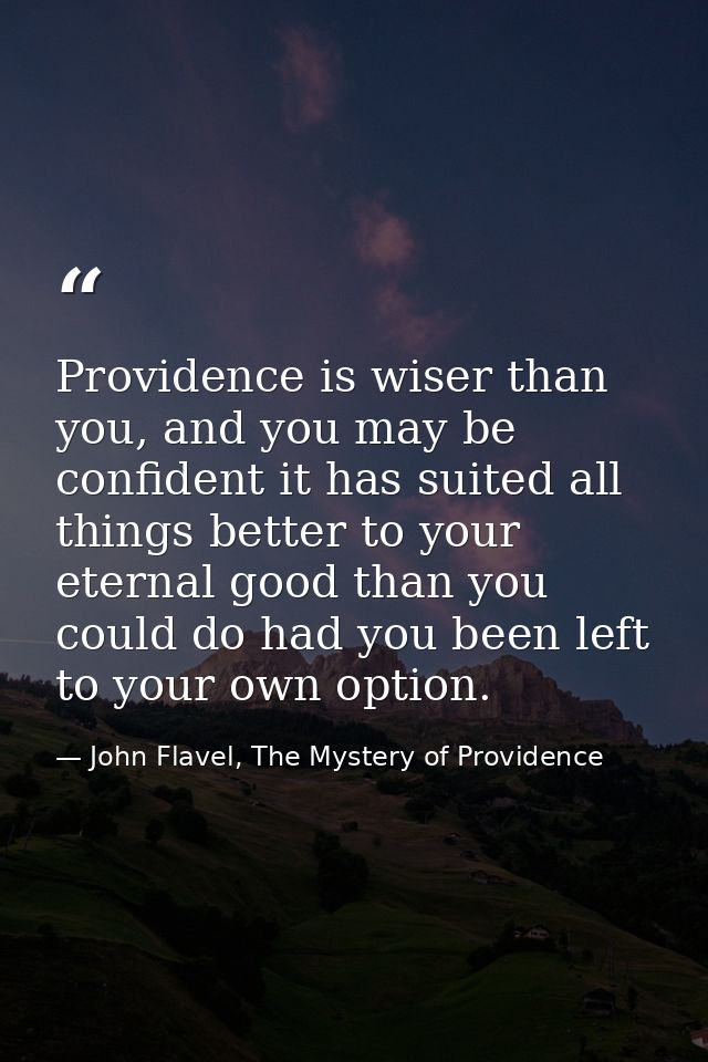 Providence is wiser than you, and you may be confident it has suited all things better to your eternal good than you cou — John Flavel, The Mystery of Providence