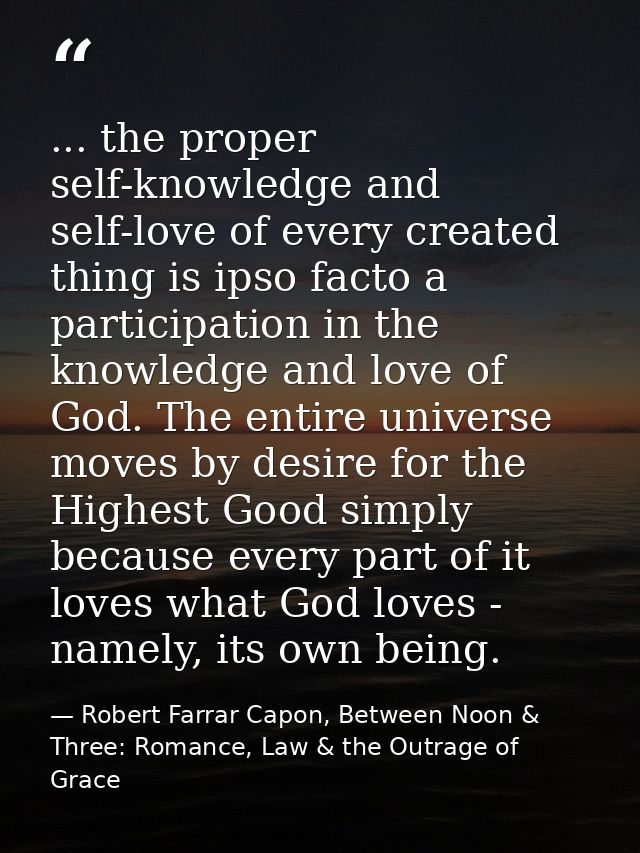... the proper self-knowledge and self-love of every created thing is ipso facto a participation in the knowledge and lo — Robert Farrar Capon, Between Noon & Three: Romance, Law & the Outrage of Grace