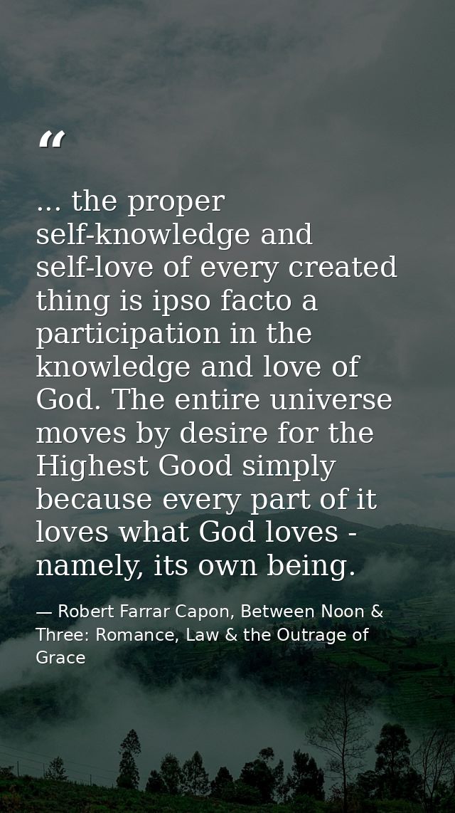 ... the proper self-knowledge and self-love of every created thing is ipso facto a participation in the knowledge and lo — Robert Farrar Capon, Between Noon & Three: Romance, Law & the Outrage of Grace