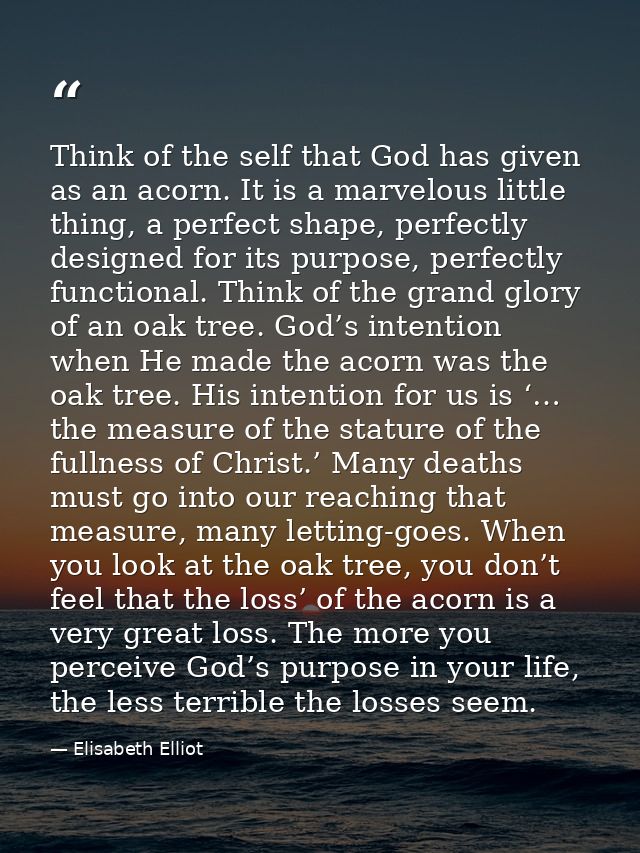 Think of the self that God has given as an acorn. It is a marvelous little thing, a perfect shape, perfectly designed fo — Elisabeth Elliot