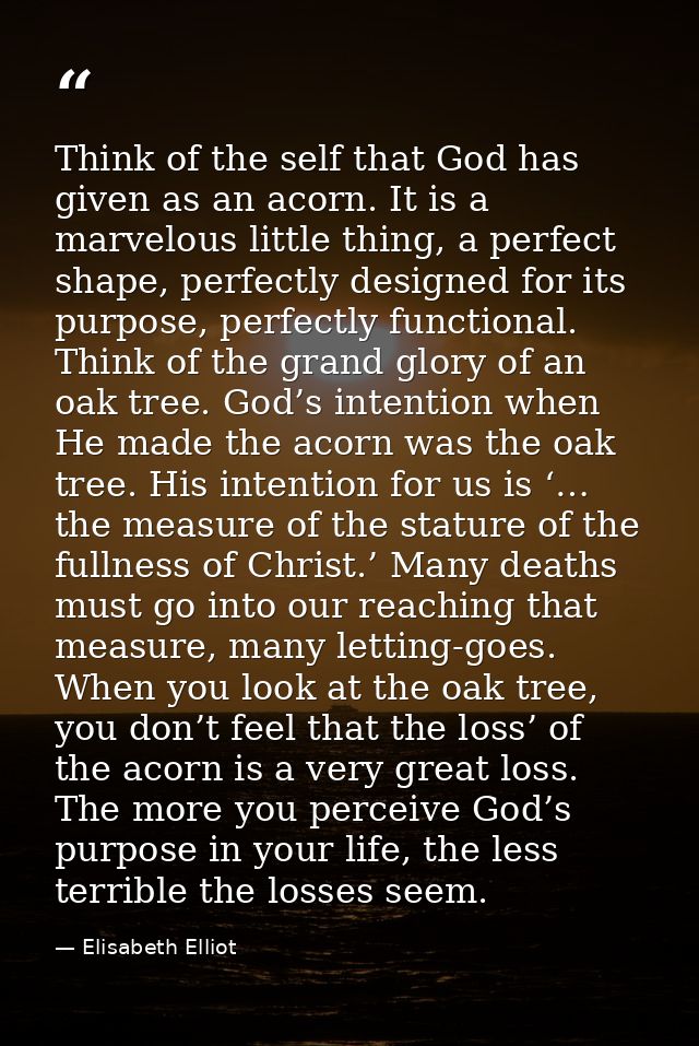 Think of the self that God has given as an acorn. It is a marvelous little thing, a perfect shape, perfectly designed fo — Elisabeth Elliot