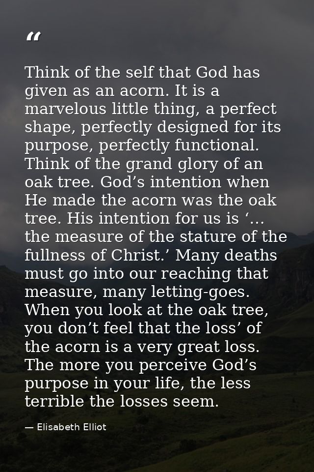 Think of the self that God has given as an acorn. It is a marvelous little thing, a perfect shape, perfectly designed fo — Elisabeth Elliot