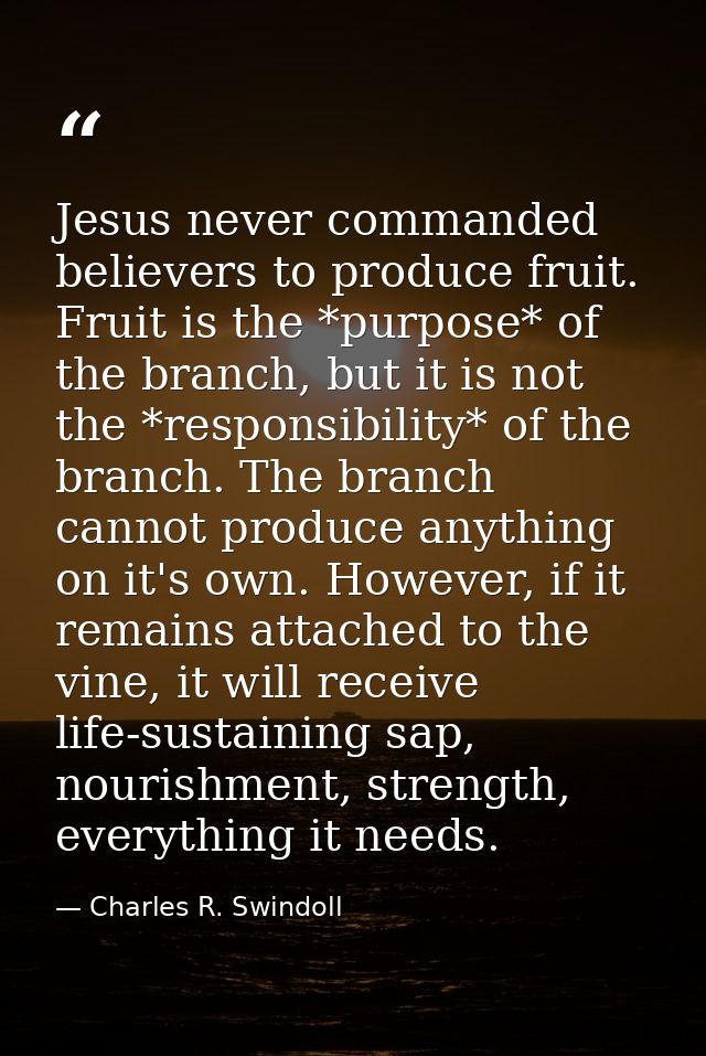 Jesus never commanded believers to produce fruit. Fruit is the *purpose* of the branch, but it is not the *responsibilit — Charles R. Swindoll