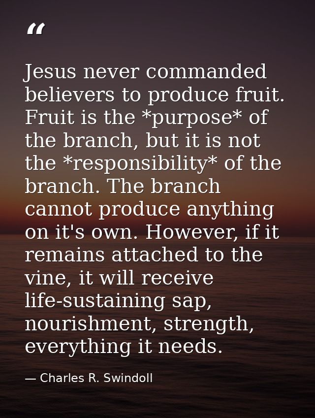 Jesus never commanded believers to produce fruit. Fruit is the *purpose* of the branch, but it is not the *responsibilit — Charles R. Swindoll
