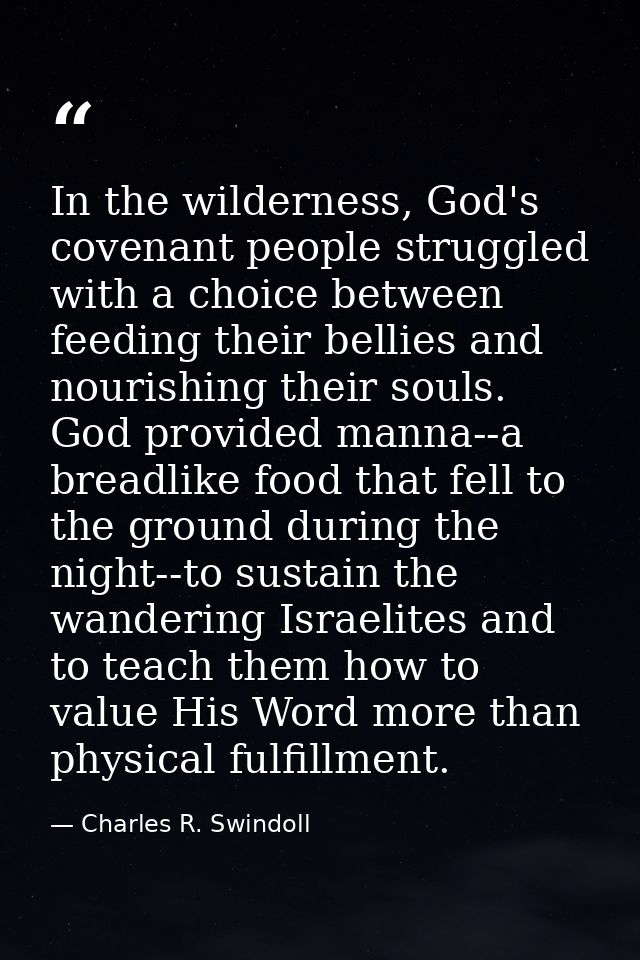 In the wilderness, God's covenant people struggled with a choice between feeding their bellies and nourishing their soul — Charles R. Swindoll