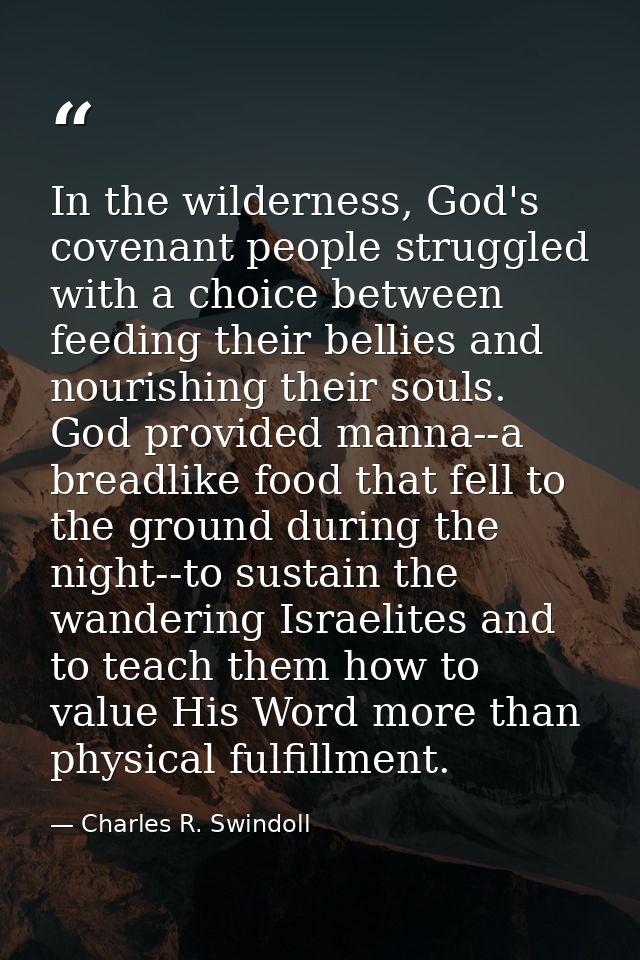 In the wilderness, God's covenant people struggled with a choice between feeding their bellies and nourishing their soul — Charles R. Swindoll