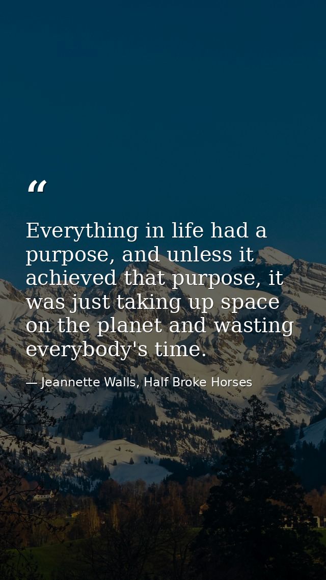Everything in life had a purpose, and unless it achieved that purpose, it was just taking up space on the planet and was — Jeannette Walls, Half Broke Horses