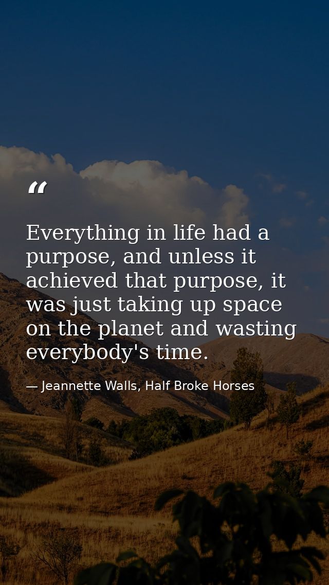 Everything in life had a purpose, and unless it achieved that purpose, it was just taking up space on the planet and was — Jeannette Walls, Half Broke Horses