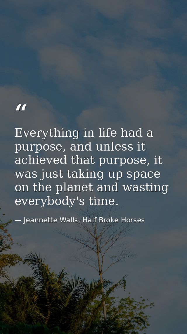 Everything in life had a purpose, and unless it achieved that purpose, it was just taking up space on the planet and was — Jeannette Walls, Half Broke Horses