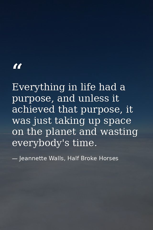 Everything in life had a purpose, and unless it achieved that purpose, it was just taking up space on the planet and was — Jeannette Walls, Half Broke Horses
