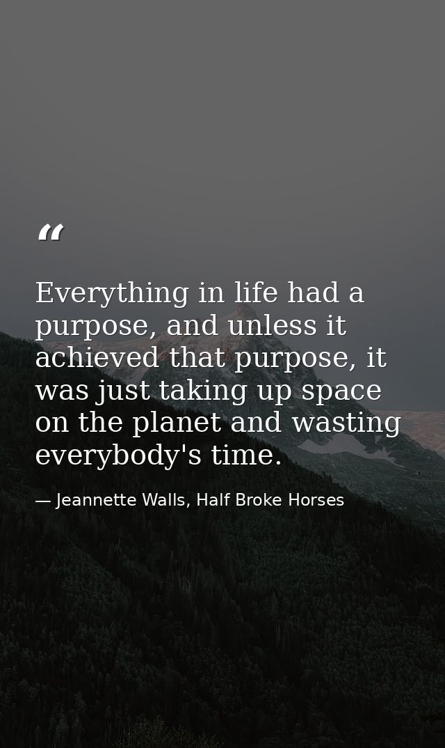 Everything in life had a purpose, and unless it achieved that purpose, it was just taking up space on the planet and was — Jeannette Walls, Half Broke Horses