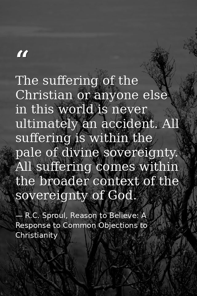 The suffering of the Christian or anyone else in this world is never ultimately an accident. All suffering is within the — R.C. Sproul, Reason to Believe: A Response to Common Objections to Christianity