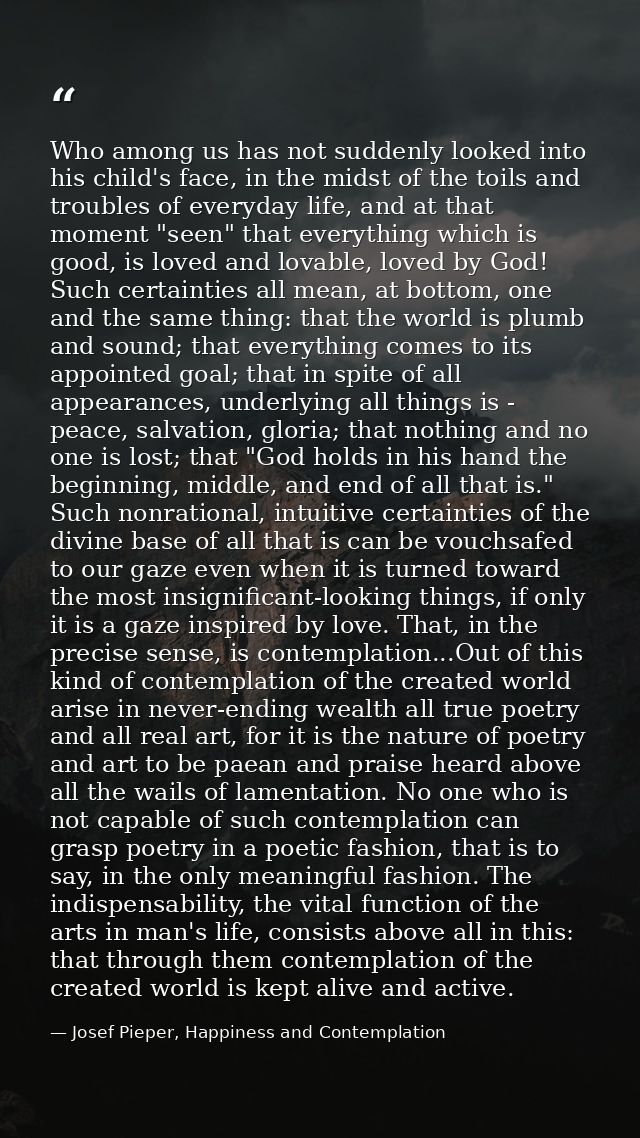 Who among us has not suddenly looked into his child's face, in the midst of the toils and troubles of everyday life, and — Josef Pieper, Happiness and Contemplation