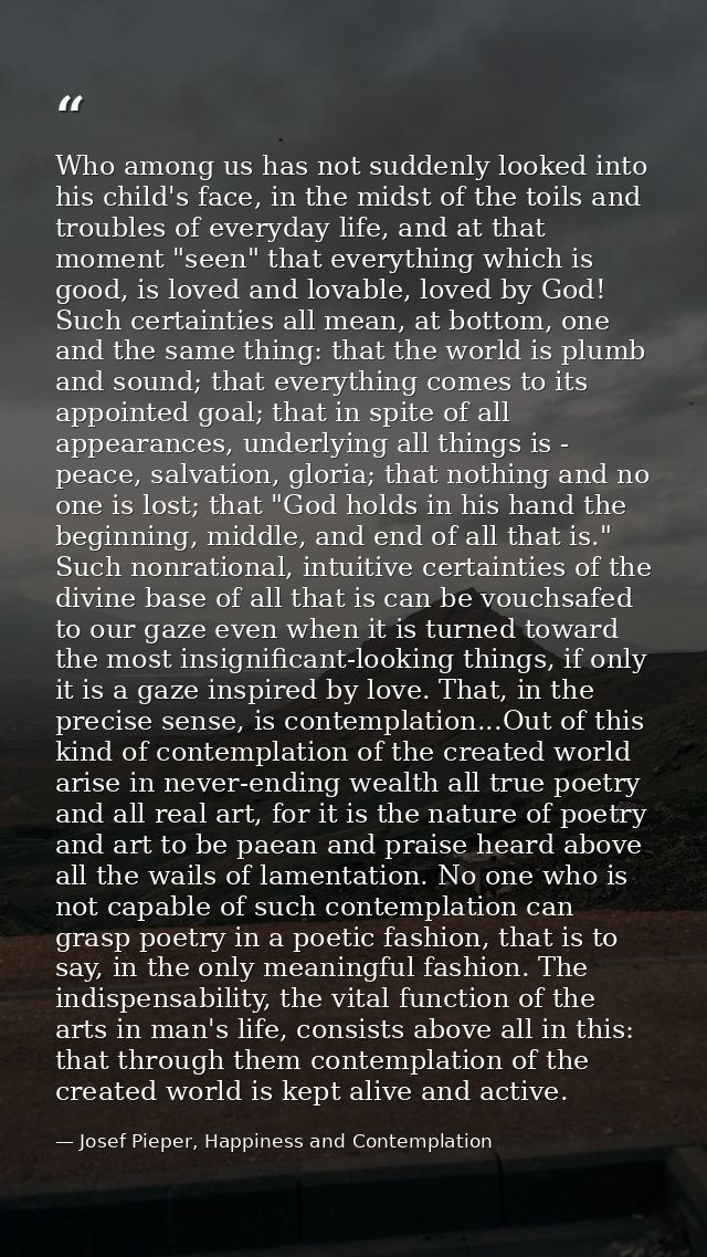 Who among us has not suddenly looked into his child's face, in the midst of the toils and troubles of everyday life, and — Josef Pieper, Happiness and Contemplation