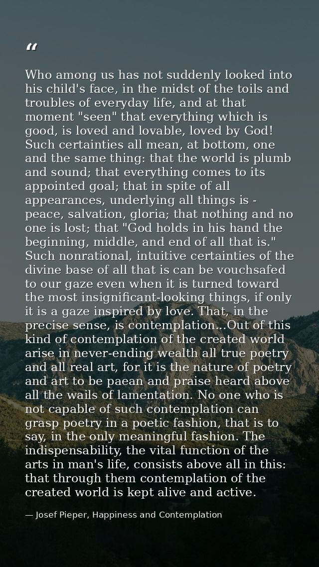 Who among us has not suddenly looked into his child's face, in the midst of the toils and troubles of everyday life, and — Josef Pieper, Happiness and Contemplation