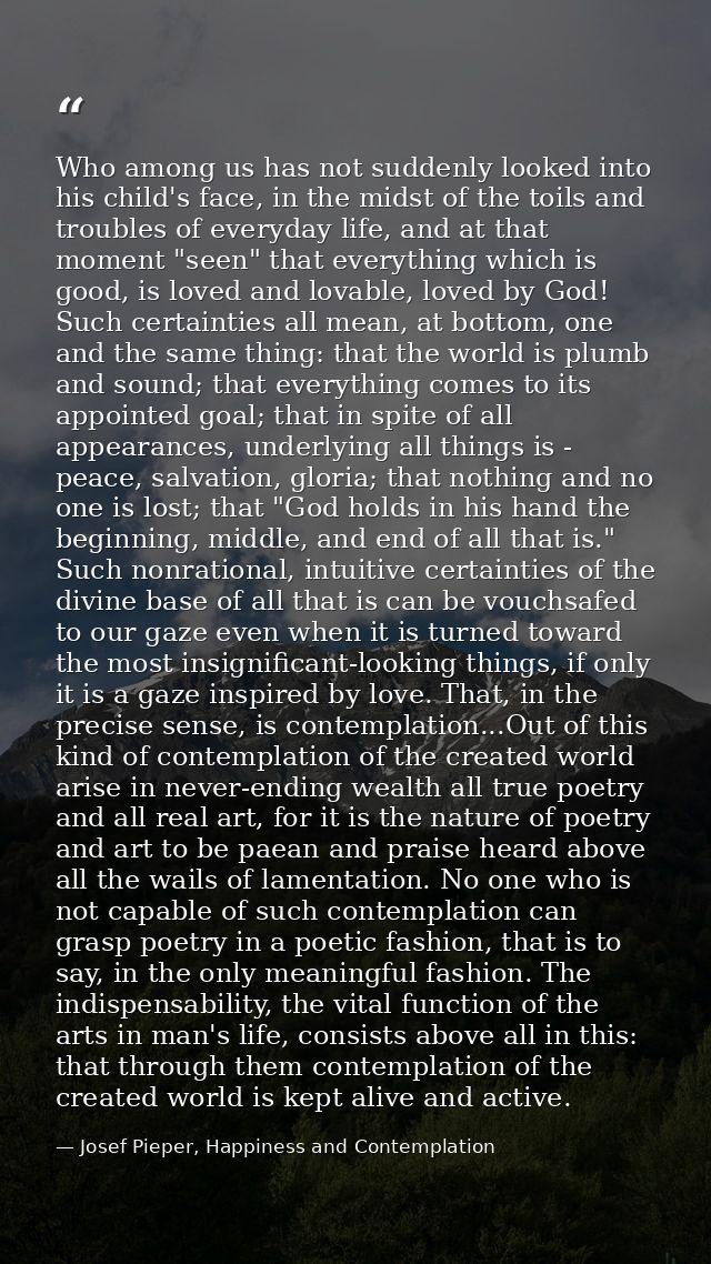 Who among us has not suddenly looked into his child's face, in the midst of the toils and troubles of everyday life, and — Josef Pieper, Happiness and Contemplation