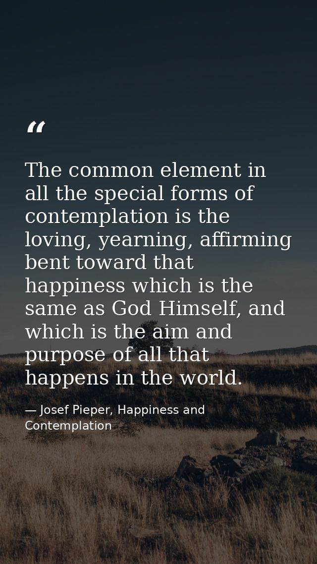 The common element in all the special forms of contemplation is the loving, yearning, affirming bent toward that happine — Josef Pieper, Happiness and Contemplation