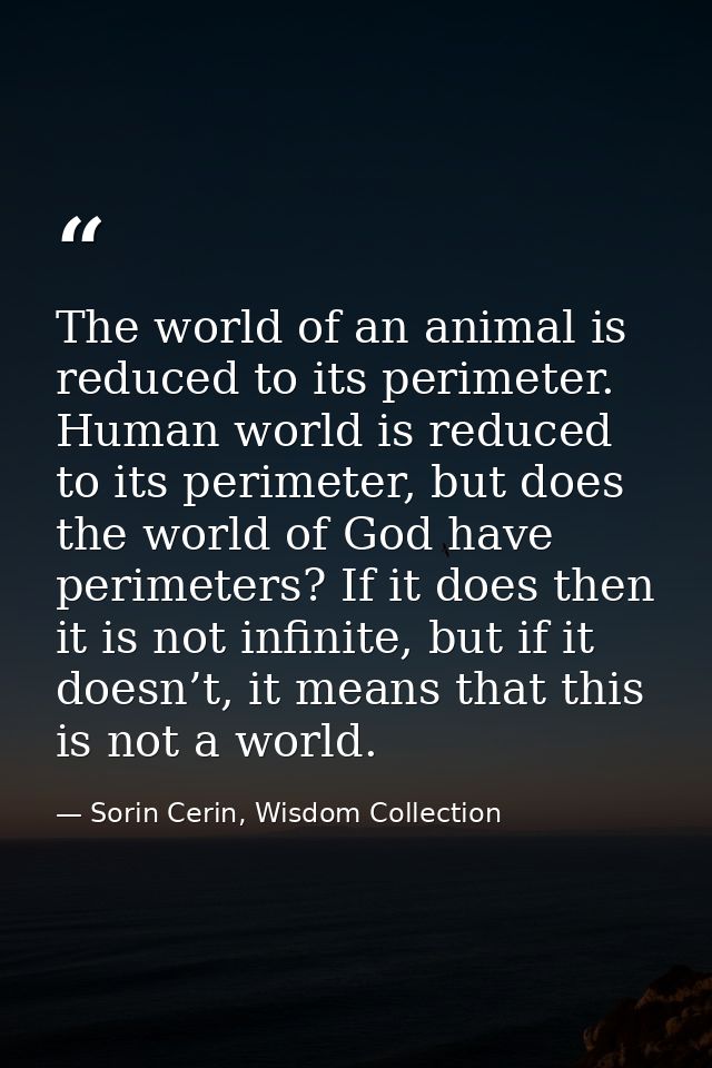 The world of an animal is reduced to its perimeter. Human world is reduced to its perimeter, but does the world of God h — Sorin Cerin, Wisdom Collection
