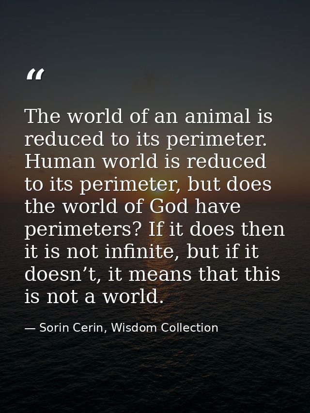 The world of an animal is reduced to its perimeter. Human world is reduced to its perimeter, but does the world of God h — Sorin Cerin, Wisdom Collection
