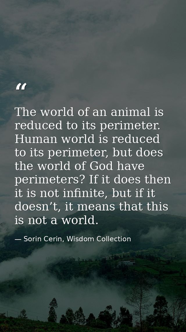 The world of an animal is reduced to its perimeter. Human world is reduced to its perimeter, but does the world of God h — Sorin Cerin, Wisdom Collection